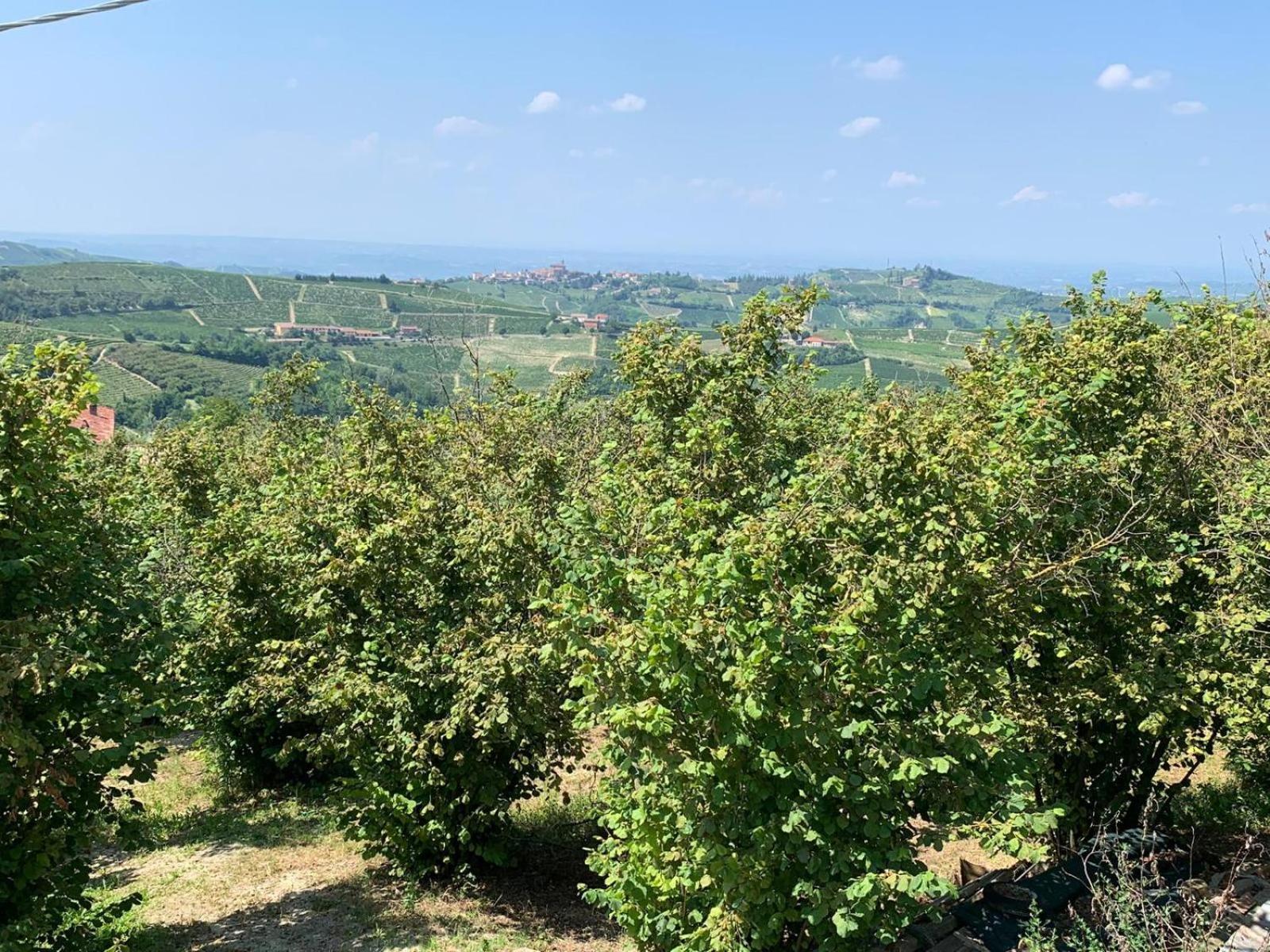 Agriturismo Cascina Anri Mango المظهر الخارجي الصورة