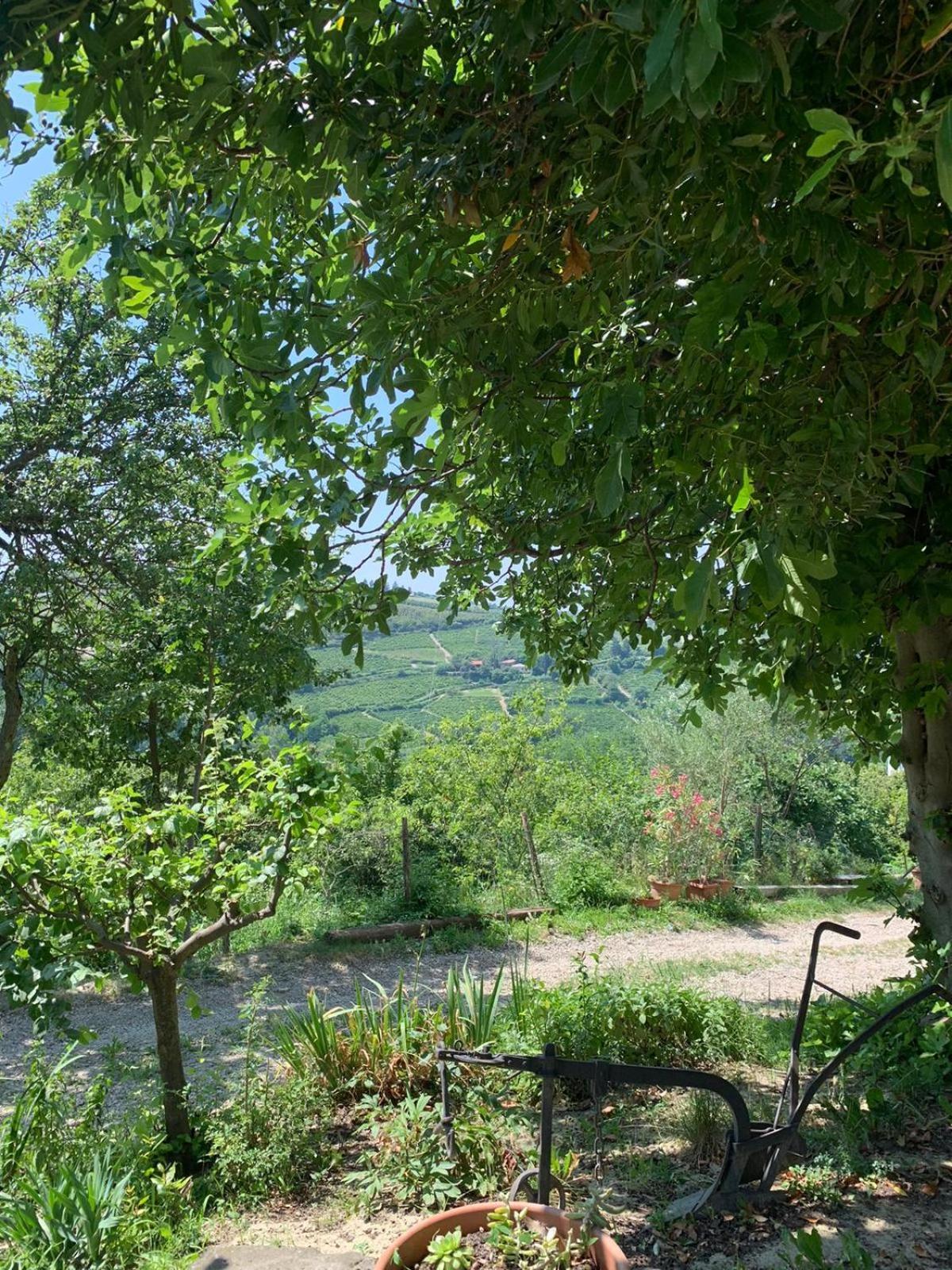Agriturismo Cascina Anri Mango المظهر الخارجي الصورة